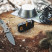 Точилка механическая Work Sharp WSEDCPVP  